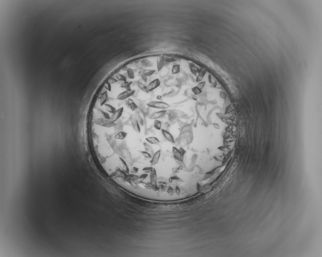 X0000102531423200809051459
