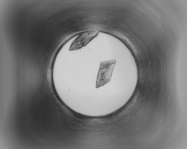 X0000102531424200809051459