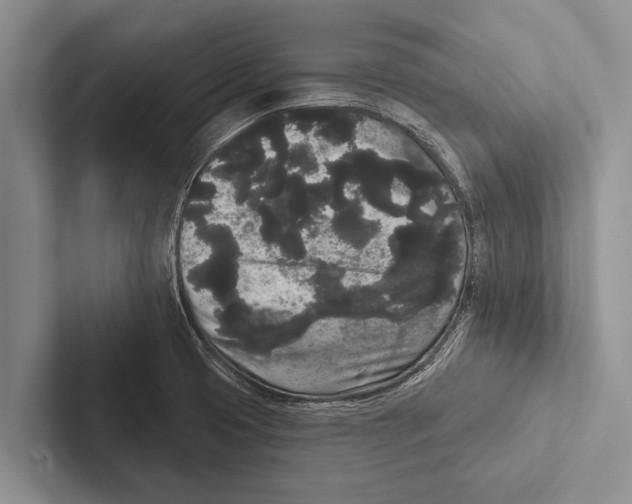X0000102531425200809051459