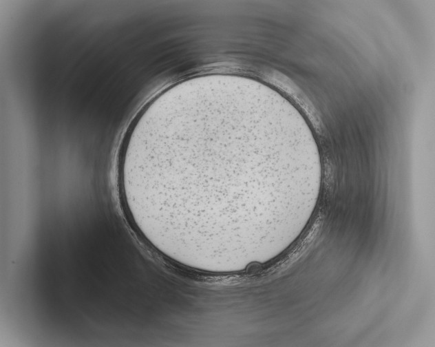 X0000102531426200809051459
