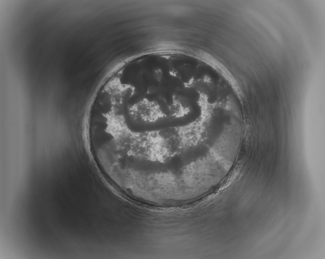 X0000102531429200809051500