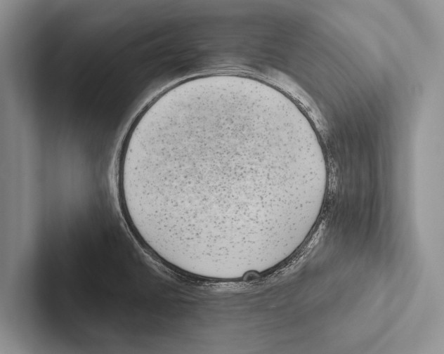 X0000102531430200809051500