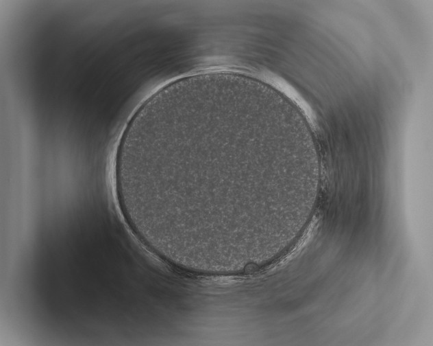 X0000102531431200809051500