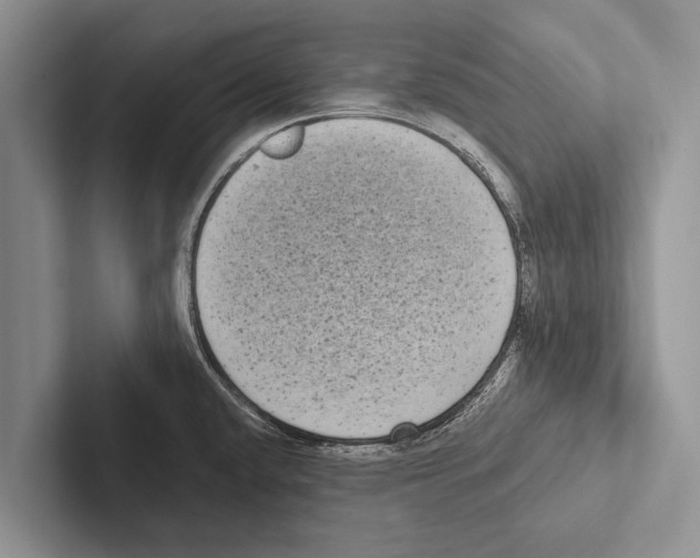 X0000102531432200809051500