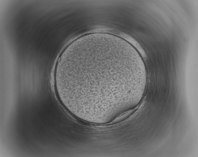 X0000102531436200809051500