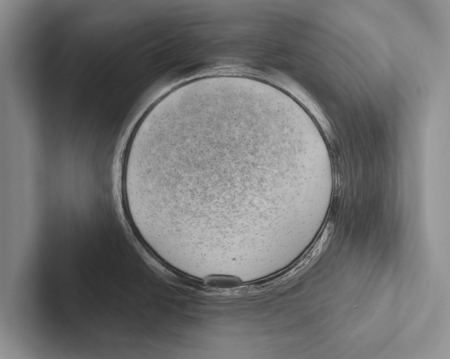 X0000102531438200809051500