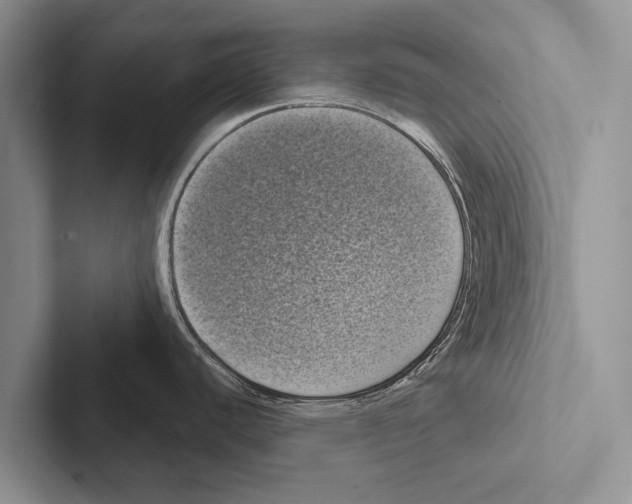 X0000102531440200809051500