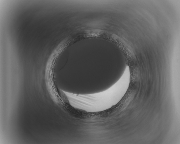 X0000102531441200809051459