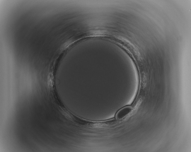 X0000102531449200809051459