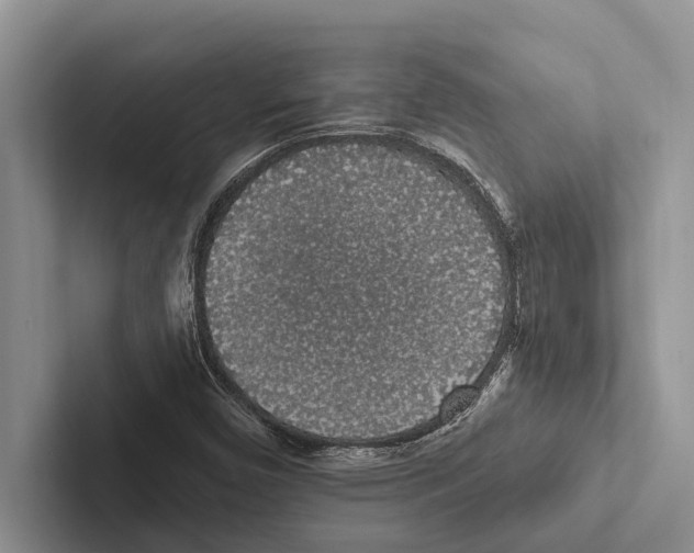 X0000102531450200809051459