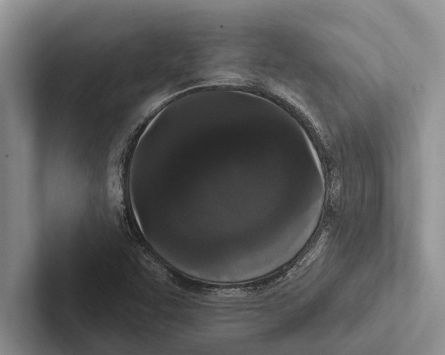 X0000102531455200809051459