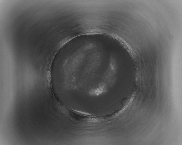 X0000102531457200809051459