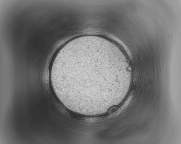 X0000102531461200809051459