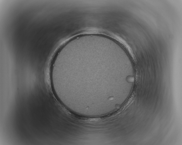 X0000102531464200809051459