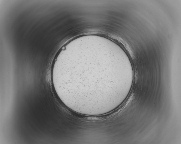 X0000102531465200809051459