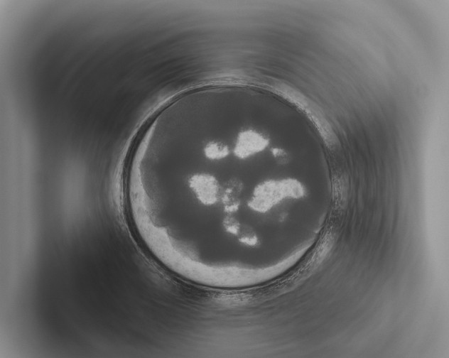 X0000102531466200809051459