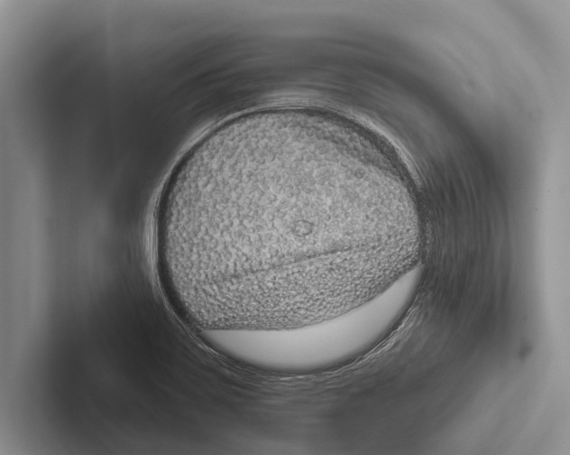 X0000102531467200809051459
