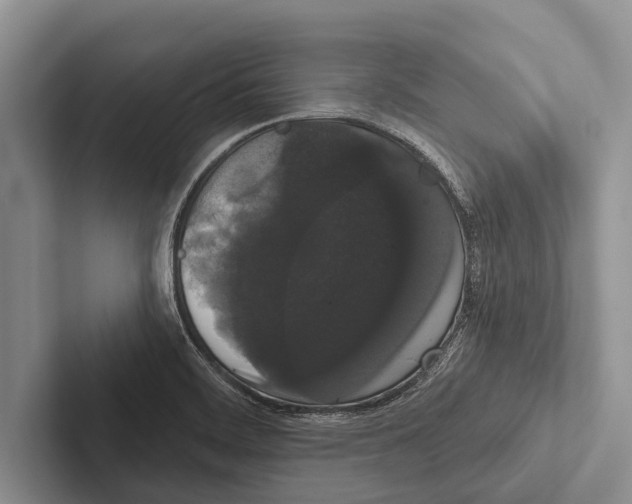 X0000102531468200809051459