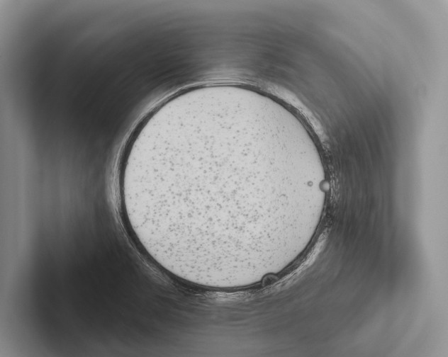 X0000102531469200809051459