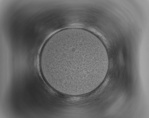 X0000102531470200809051459