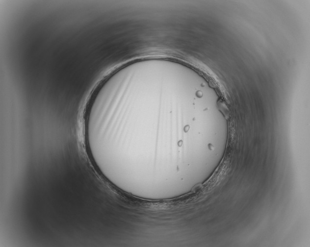 X0000102531472200809051459