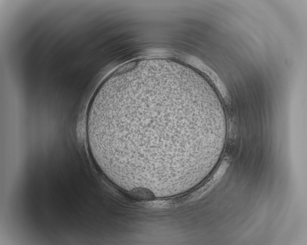 X0000102531473200809051458