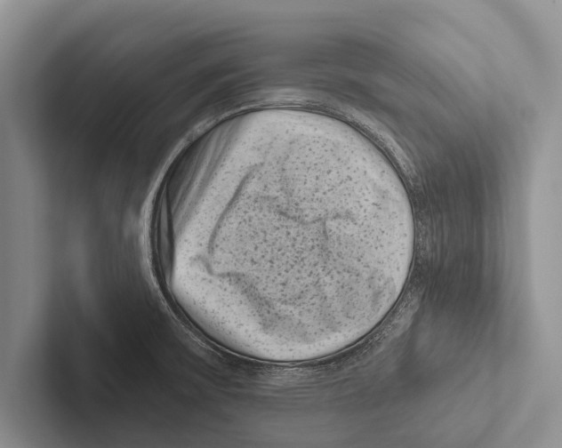 X0000102531475200809051458