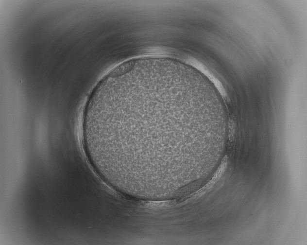 X0000102531477200809051458