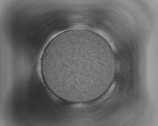 X0000102531478200809051458