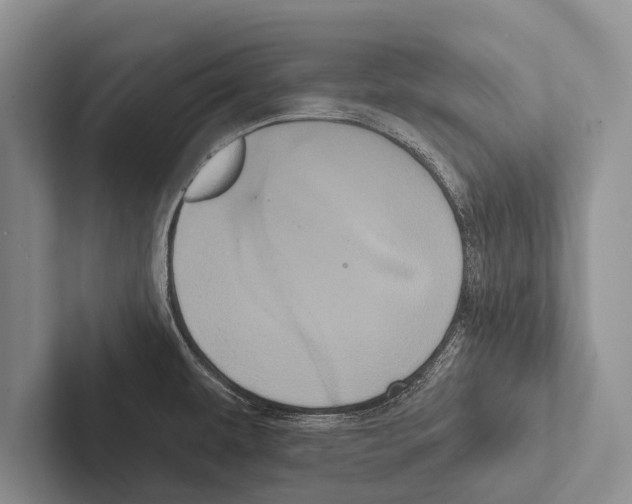 X0000102531479200809051458