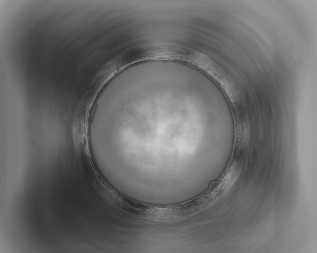 X0000102531481200809051458