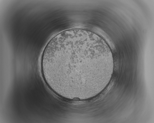 X0000102531483200809051458
