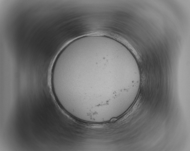 X0000102531484200809051458