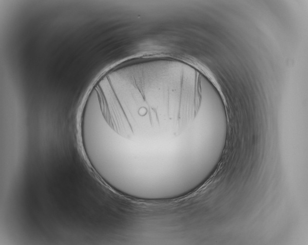 X0000102531488200809051458