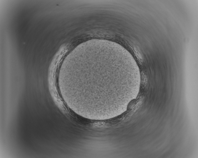 X0000102531489200809051458