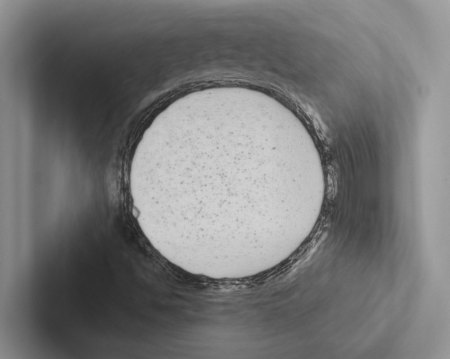 X0000102531494200809051458