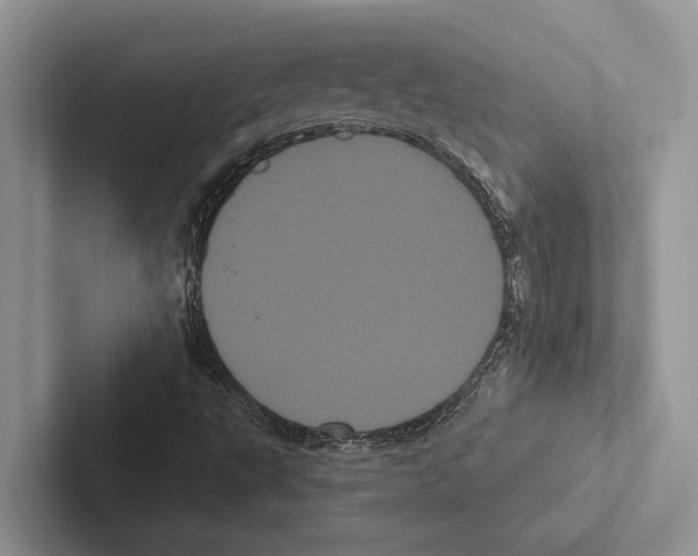 X0000102531495200809051458
