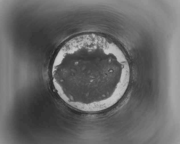 X0000102531497200809051458