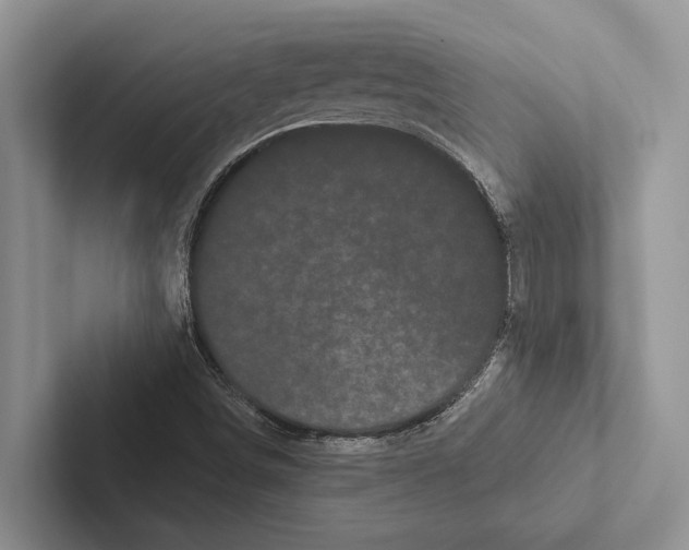X0000102531498200809051458