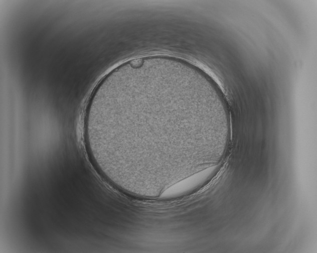 X0000102531500200809051458