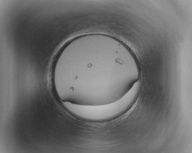 X0000102531502200809051458