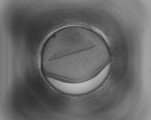 X0000102531504200809051458