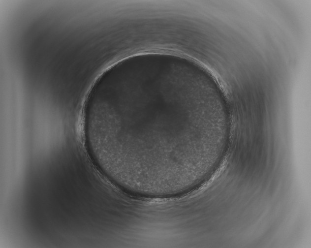 X0000102531506200809051458