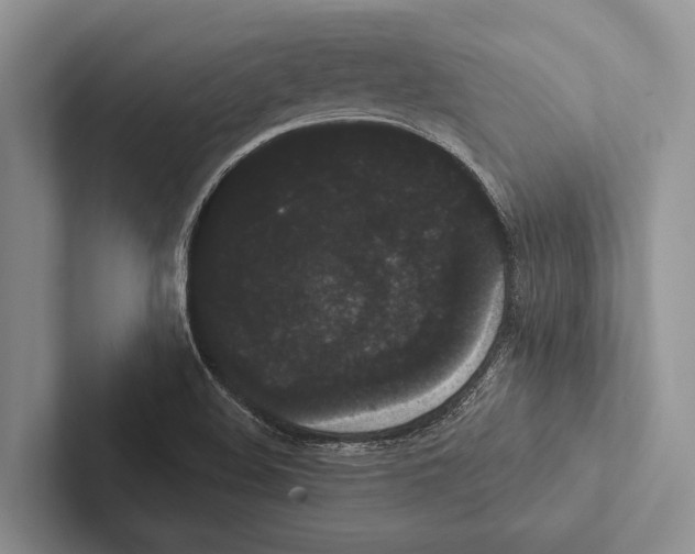 X0000102531508200809051458
