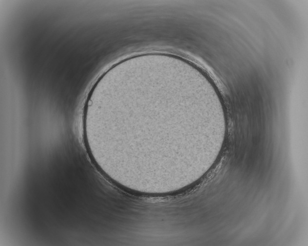 X0000102531512200809051458