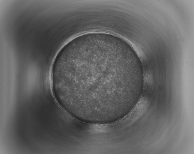X0000102531514200809051458