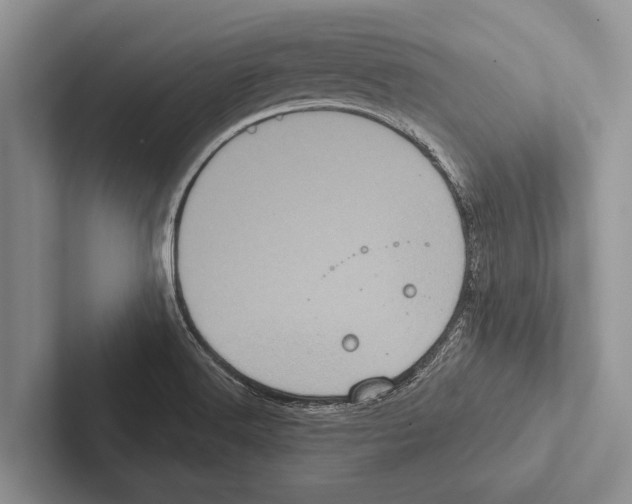X0000102531516200809051458
