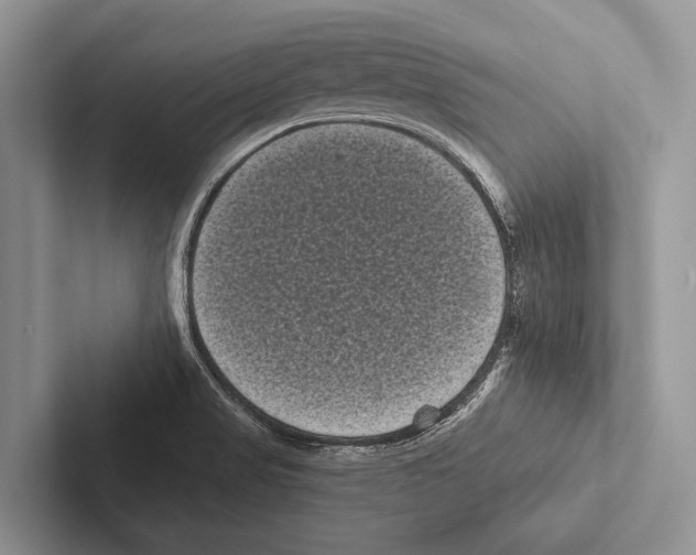 X0000102531517200809051458