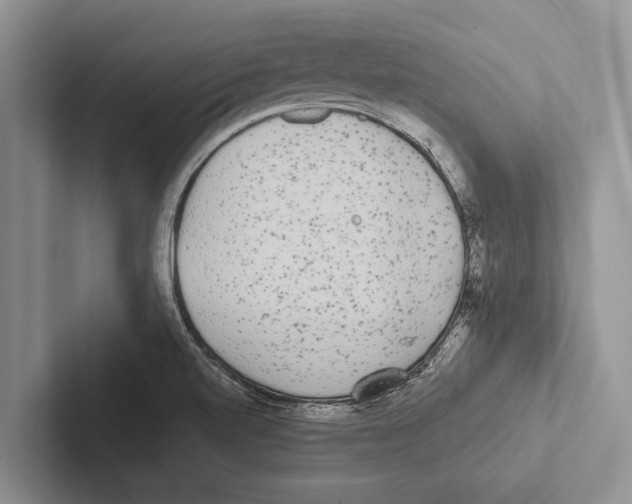 X0000102531520200809051458