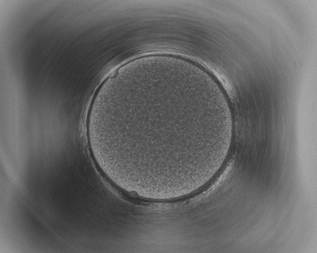 X0000102531521200809051458